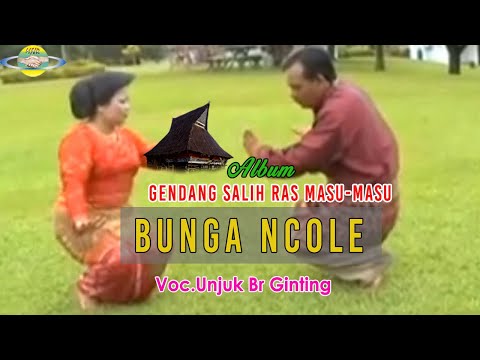 BUNGA NCOLE | GELAR NE ATEKU LAHANG | UNJUK BR GINTING || album gendang salih ras masu masu