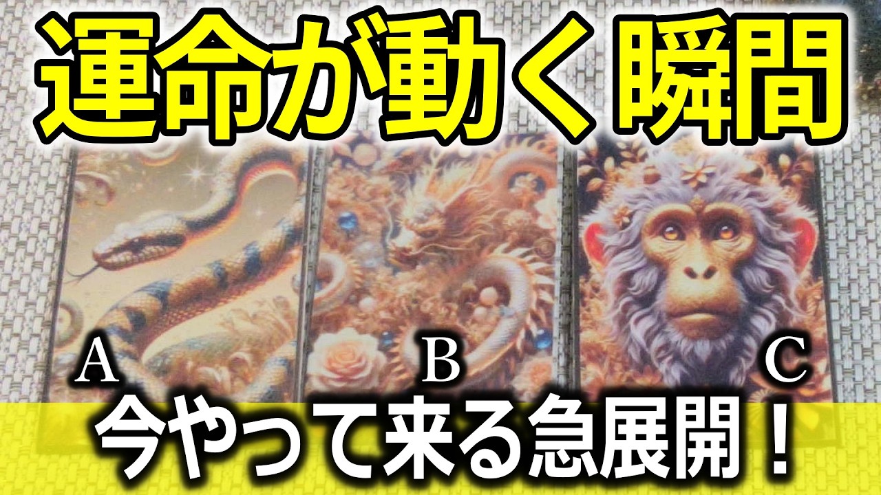 選んで🌈今あなたの運命が動く瞬間！！急展開！🌟タロット占い🔮