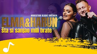 Download lagu Elma Hadzic & Harun Mehmedagic - Sta si sanjao mili brate (Orkestar Vlade Vrcinca) mp3