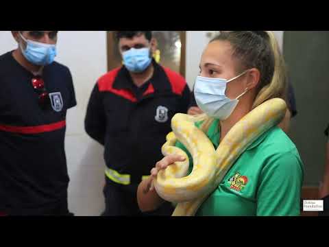 Curso en Identificación, Manejo y Rescate de animales