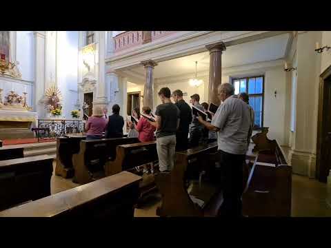 NAK  M421 Herr komme bald (4-stimmig)