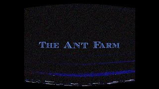 The Ant Farm