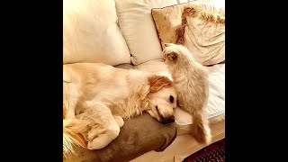 Mary Chapin Carpenter - Songs From Home Episode 59: Traveler&#39;s Prayer