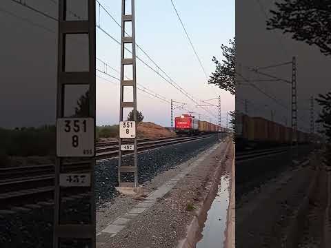 Teco Raxell Córdoba -Valencia Fsl con la 269309.Pantano de Almansa(Albacete)15/06/2023