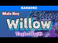 Willow by Taylor Swift (Karaoke : Male Key)