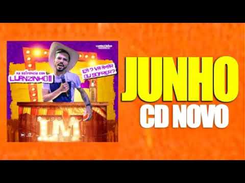 Luanzinho Moraes - Na Sofrencia || 2020