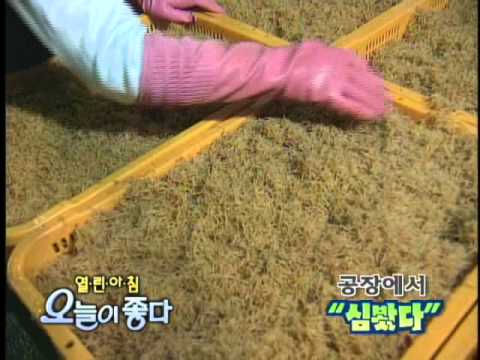 1  2004 11 05   TBC,SBS 공장에서 심봤다