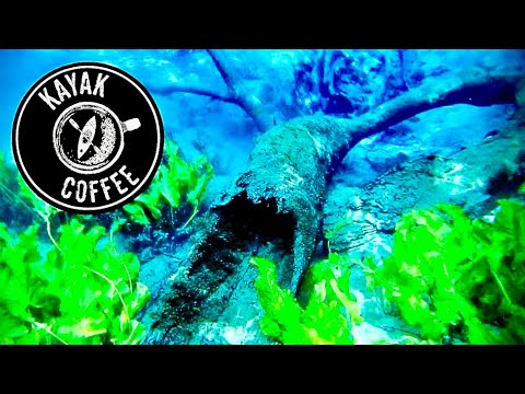 Kayaking Cypress Springs Vernon Florida Spring 2020 - Episode #1