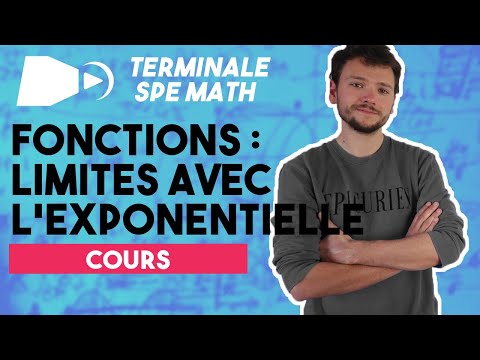 La fonction exponentielle et les croissances comparées - Spé maths - Terminale