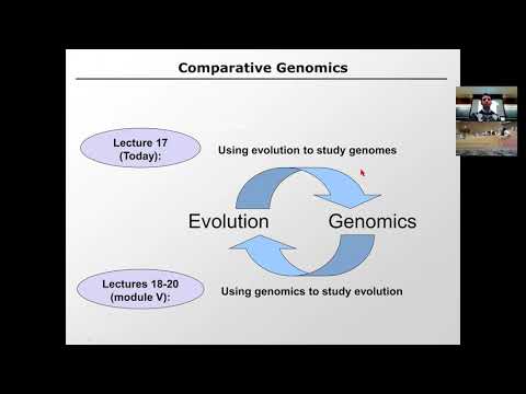 MIT CompBio Lecture 17 - Comparative Genomics
