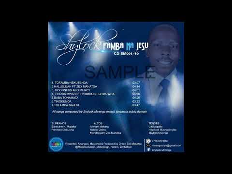 Mafamba Nesu Shylock Mwenga.mp4