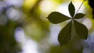 Cada tempo em seu lugar - Gilberto Gil