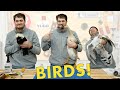 The Aging Wheels Bird Video