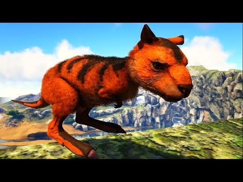 The Story of the Baby Kangaroo That Fate Chose to Test Him! Ark Dino Evolved (PT/BR)