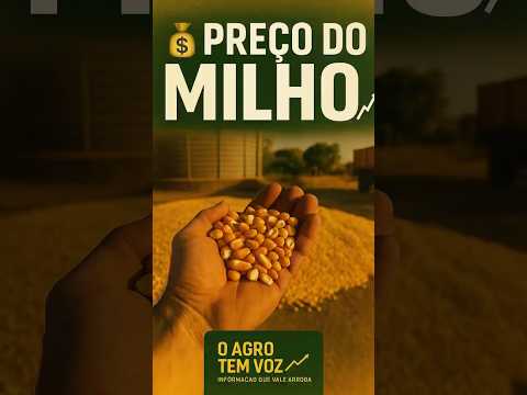 🎙️ Mercado do Milho – Disponível | 24 de julho de 2026