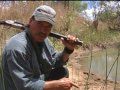 Mark Sullivan S Greatest Hippo Charges DVD Vol 1 DIIZCHE SAFARI ADVENTURES Clip