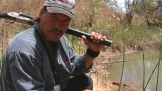 Mark Sullivan's Greatest Hippo Charges DVD Vol. 1-Diizche Safari Adventures Clip