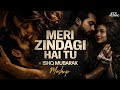Meri Zindagi Hai Tu X Ishq Mubarak Aftermorning Arijit Singh Asim Azhar Instagram Viral Mashup