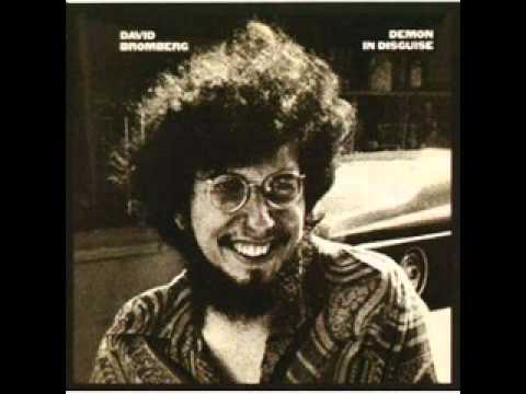 David Bromberg - Sharon