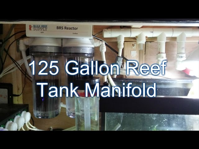 Custom Manifold Setup | Reef Tank