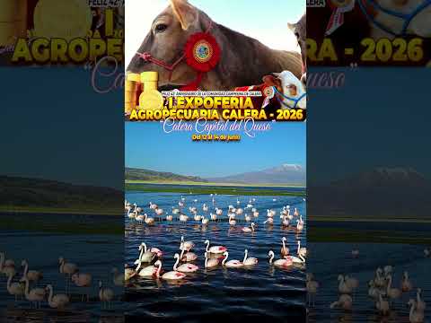 🔥 I EXPOFERIA AGROPECUARIA – CALERA 2026 - CAPITAL DEL QUESO🔥 #huamaniproducciones #ayacucho