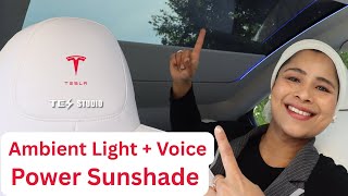 Tesla Model Y Electric Sunshade: Voice Control & Ambient Light
