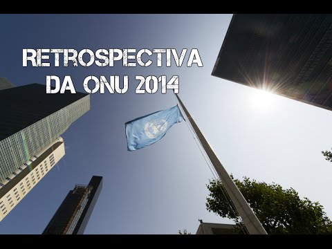 Retrospectiva de la ONU 2014