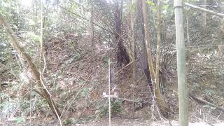 Download lagu Memikat murai batu menggunakan jaring.puluhan murai datang menyerang seekor pun tak sangkut 🤣🤣 mp3