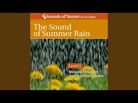 The Sound of Summer Rain