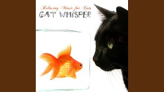 Vivaldi, Four Seasons Winter with Thunder Sound