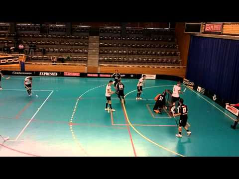 Skellefteå IBK Säsongen 2011-12