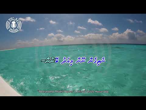 Nethuneehey Miadhu Beynun - 4k UHD - Karaoke