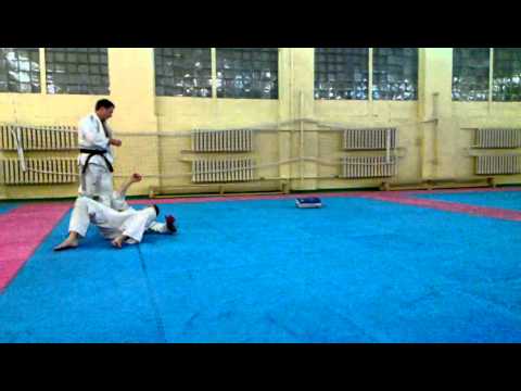 Hapkido panch, throw, kick 2013.01.11 Pshenichnikov