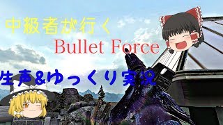 [BtF]中級者が逝くBullet Force