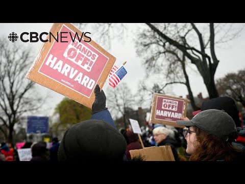 Harvard sues Trump administration over ban on foreign enrolment