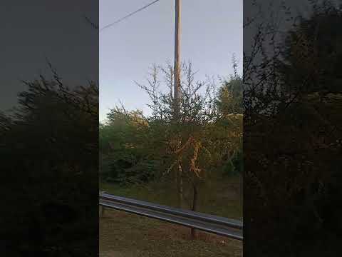 Escobar, Buenos Aires.