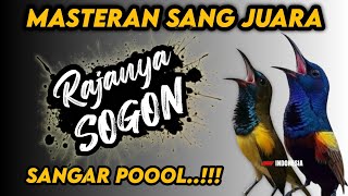 Download lagu Ini baru sangar !! MASTERAN SOGON FULL ISIAN TEMBAKAN SUPER MEWAH‼️ mp3 Download lagu Ini baru sangar !! MASTERAN SOGON FULL ISIAN TEMBAKAN SUPER MEWAH‼️ mp3