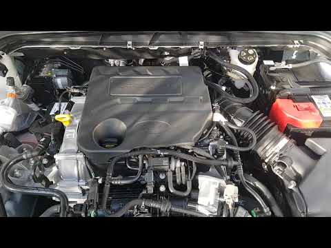 Ford Focus 2019 1.0 125 hp ecoboost engine sound