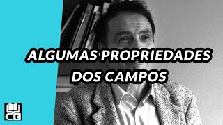 Campo social em Pierre Bourdieu