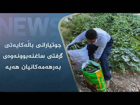 بەڤیدیۆ.. جوتیارانی باڵەکایەتی گرفتی ساغنەبوونەوەی بەرھەمەکانیان ھەیە
