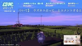 🔴LIVE CAMERA ウズネコ【参加型占い】　2026.07.30