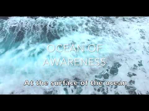 Ram Dass - Ocean of Awareness - 60-second Meditation