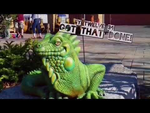 YouTube video