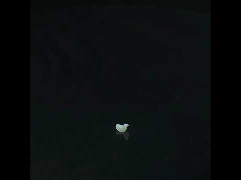 YouTube 썸네일