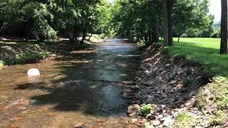 Download the video "Natural Beauty Abounds in Unicoi, Tennessee"