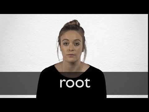 How to pronounce ROOT in British English