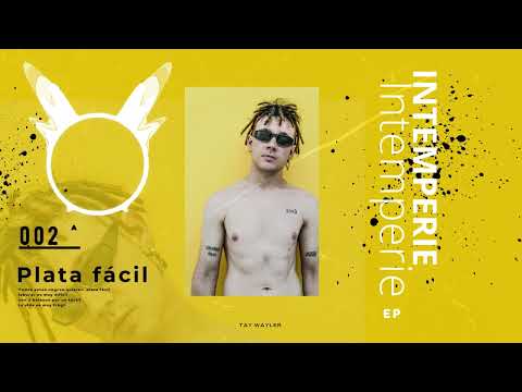 TAY WAYLER   [ PLATA FACIL ]