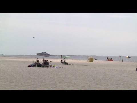 Long Island Hempstead Beach Sharks Sighted Off Shore