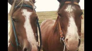 That girl is a cowboy