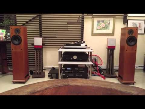 Vermouth Audio Black Pearl Speaker Cable and Red Velvet Power Cable Sampler 1